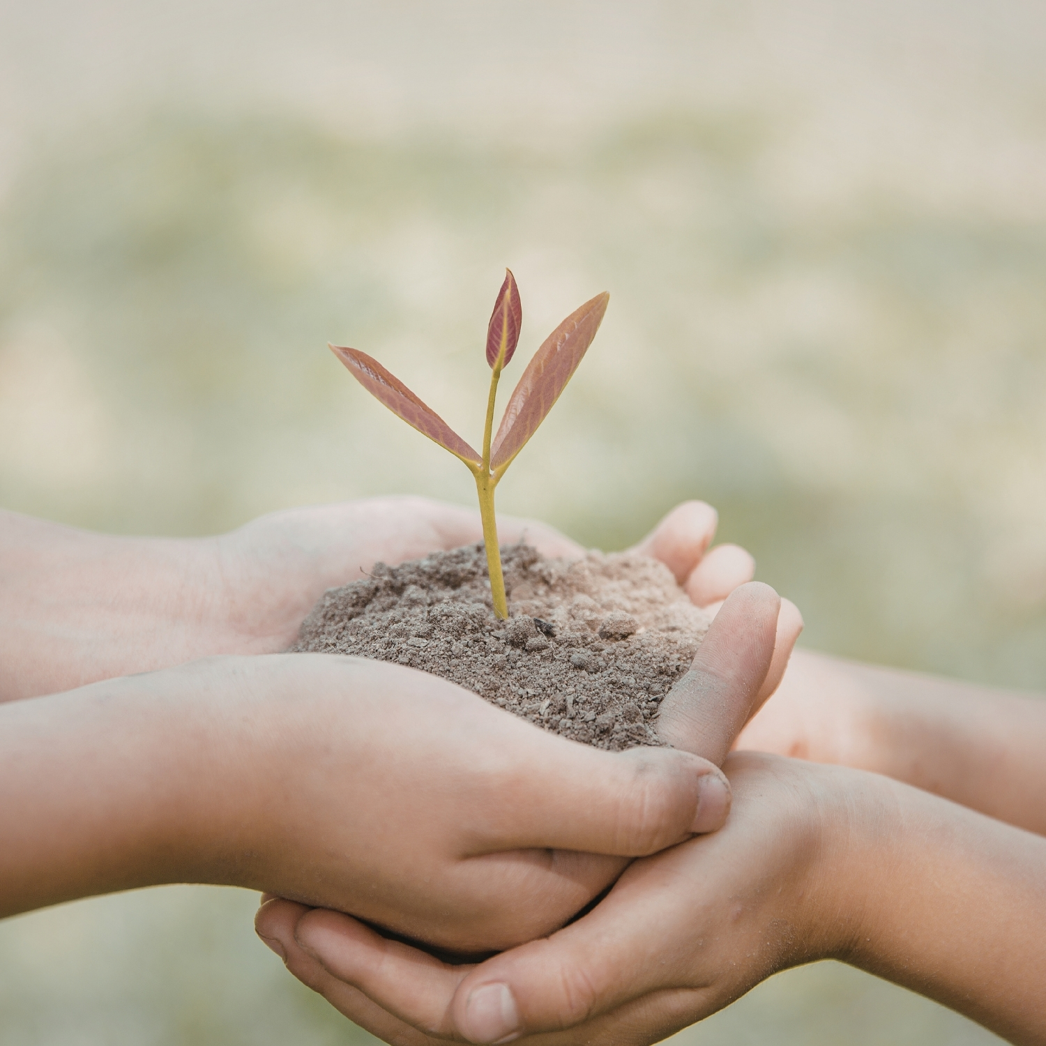 Nurturing Minds for Every Caregiver