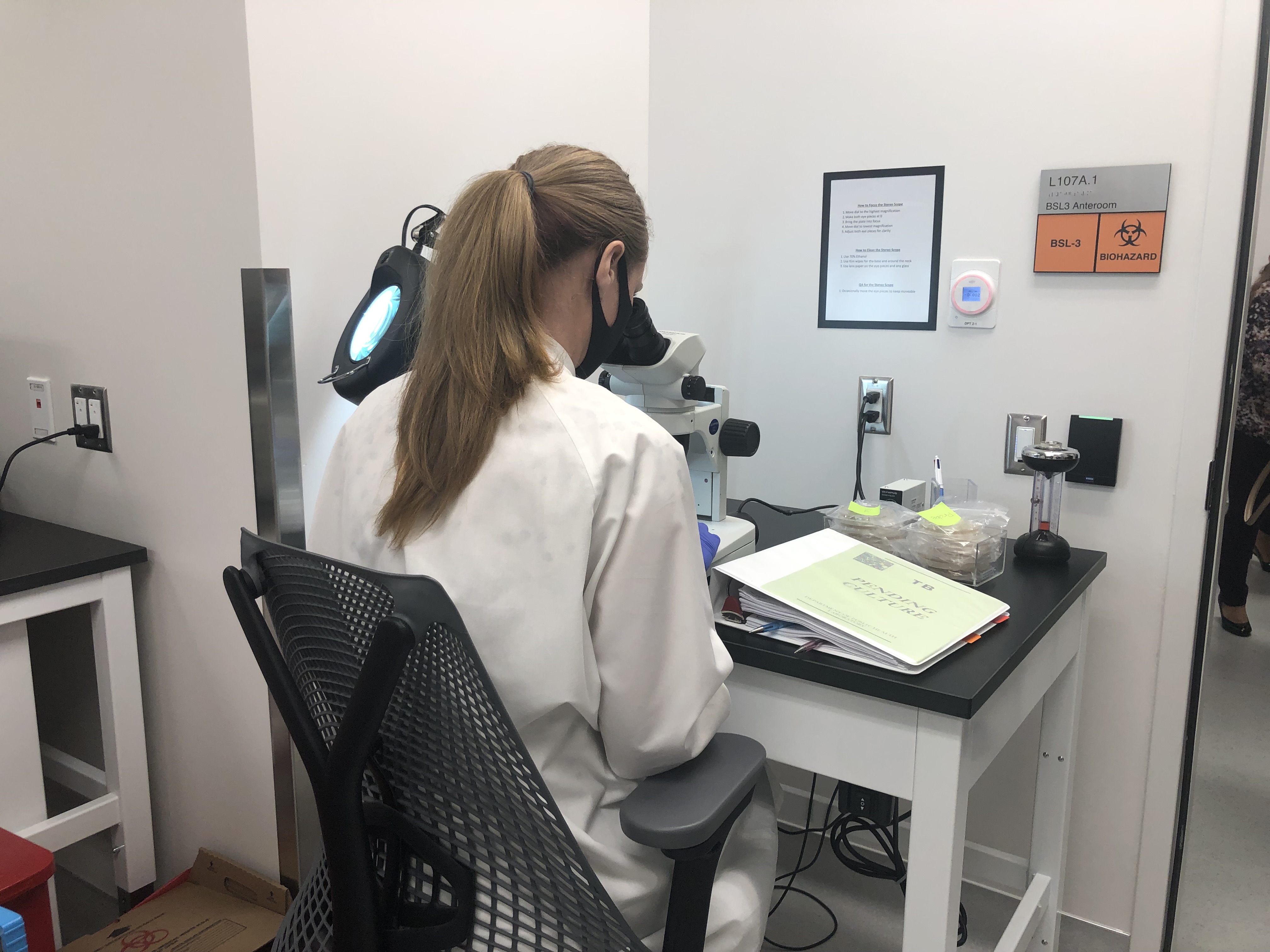 lab