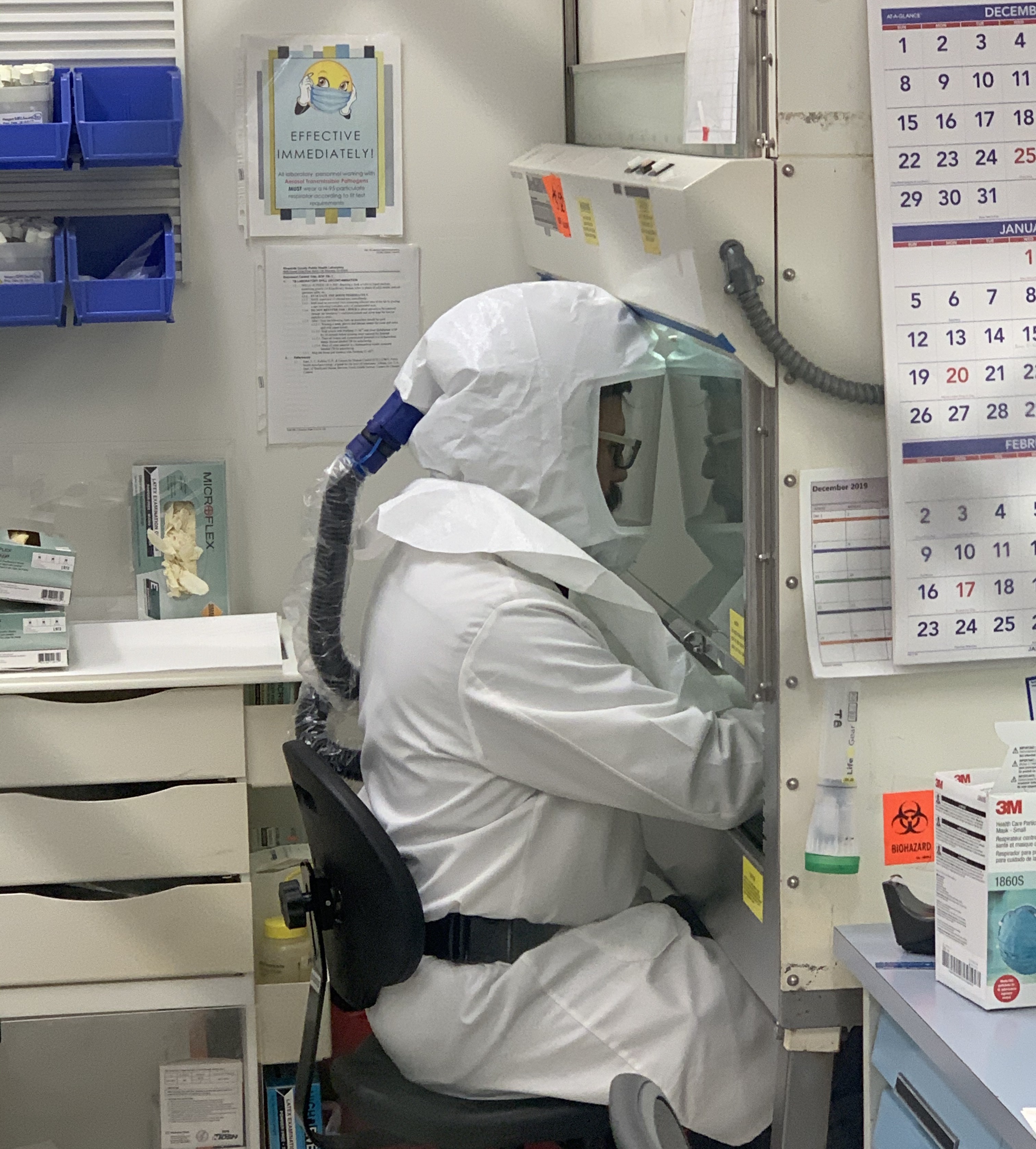 lab