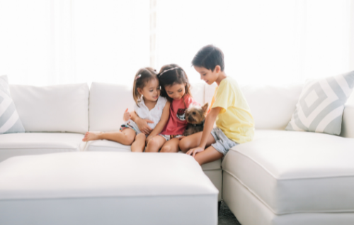 Sibshops (Solo los hermanos)