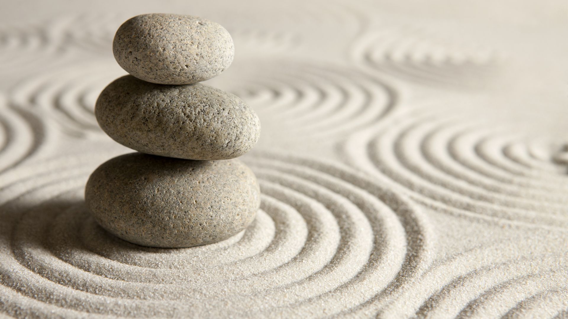 Equilibrio familiar para el bienestar cotidiano