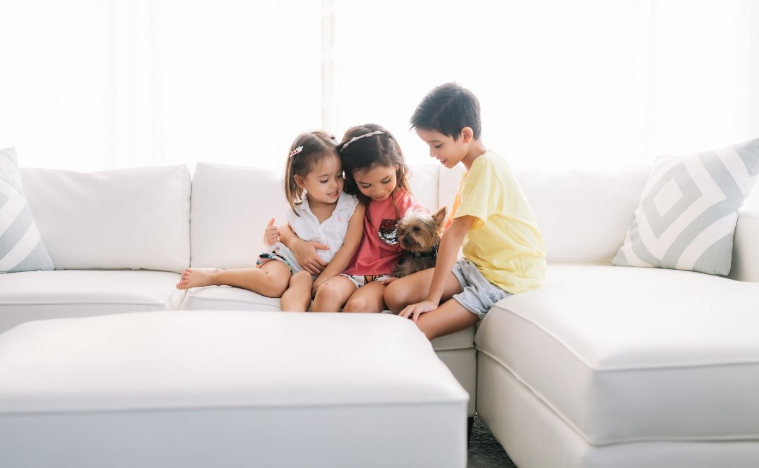 Programa de prevención del envenenamiento por plomo en niños