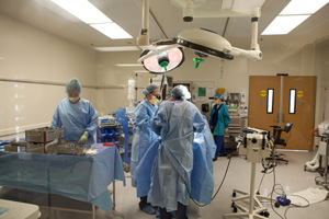 Team of Medical Doctors