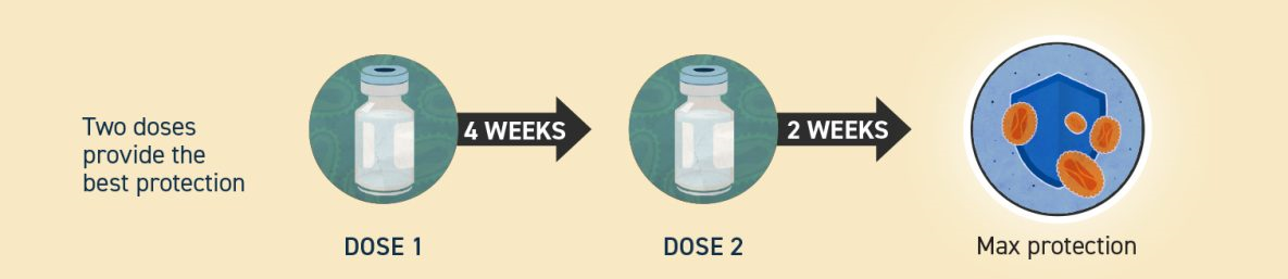 Different doses