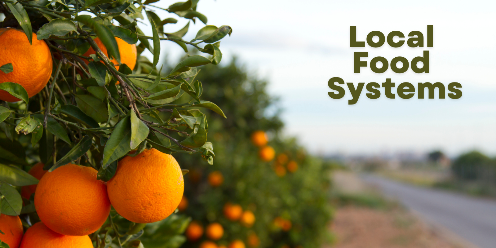 Local Food Systems